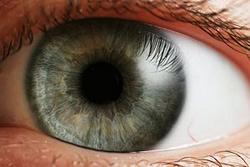 Глаз человека фиксирует одновременное движение 8 точек