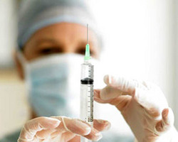 В Мурманской области свирепствует свиной грипп