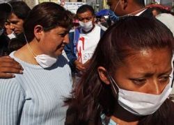 У свиного гриппа есть потенциал пандемии