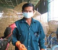 Еще один человек скончался от птичьего гриппа во Вьетнаме